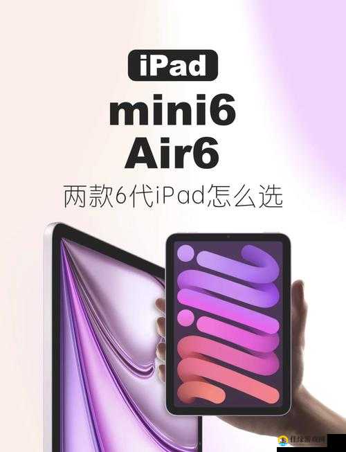 秘密入口 MINI6 的安全保护：探索全面保障机制与策略